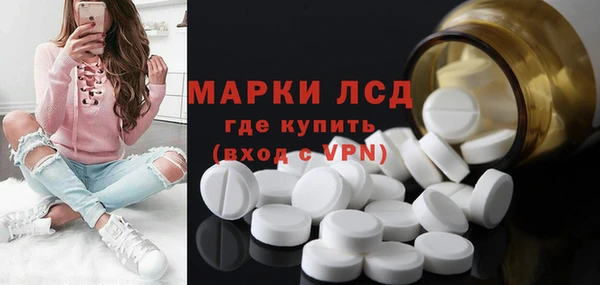 стаф Алзамай