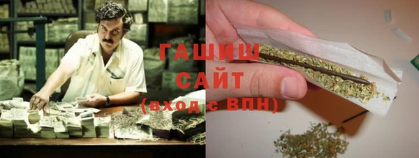стаф Алзамай