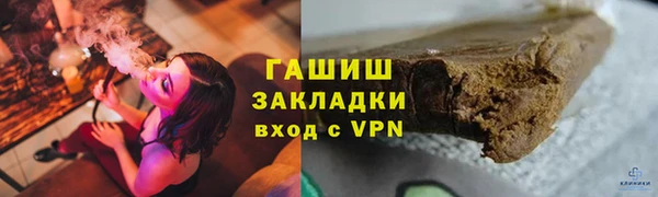 стаф Алзамай