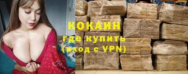 стаф Алзамай