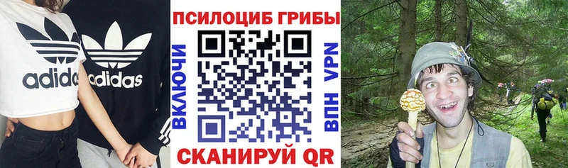 мега сайт  где купить наркоту  Ардон  Псилоцибиновые грибы прущие грибы 